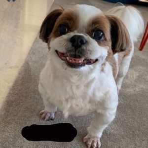 Meet your Posher, Shayla